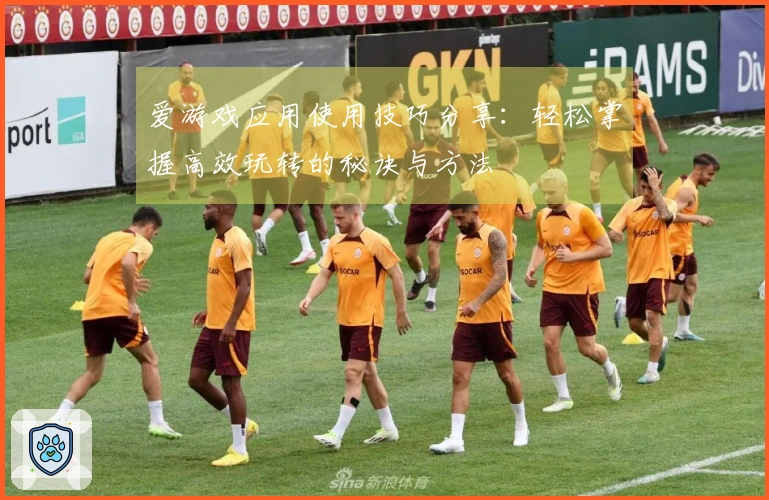 爱游戏应用使用技巧分享：轻松掌握高效玩转的秘诀与方法