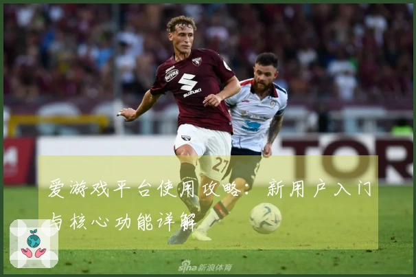 爱游戏平台使用攻略：新用户入门与核心功能详解